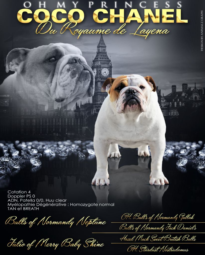 Oh my princess coco chanel Du Royaume De Layena