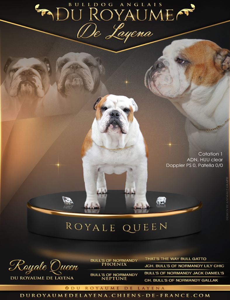 Royale queen Du Royaume De Layena