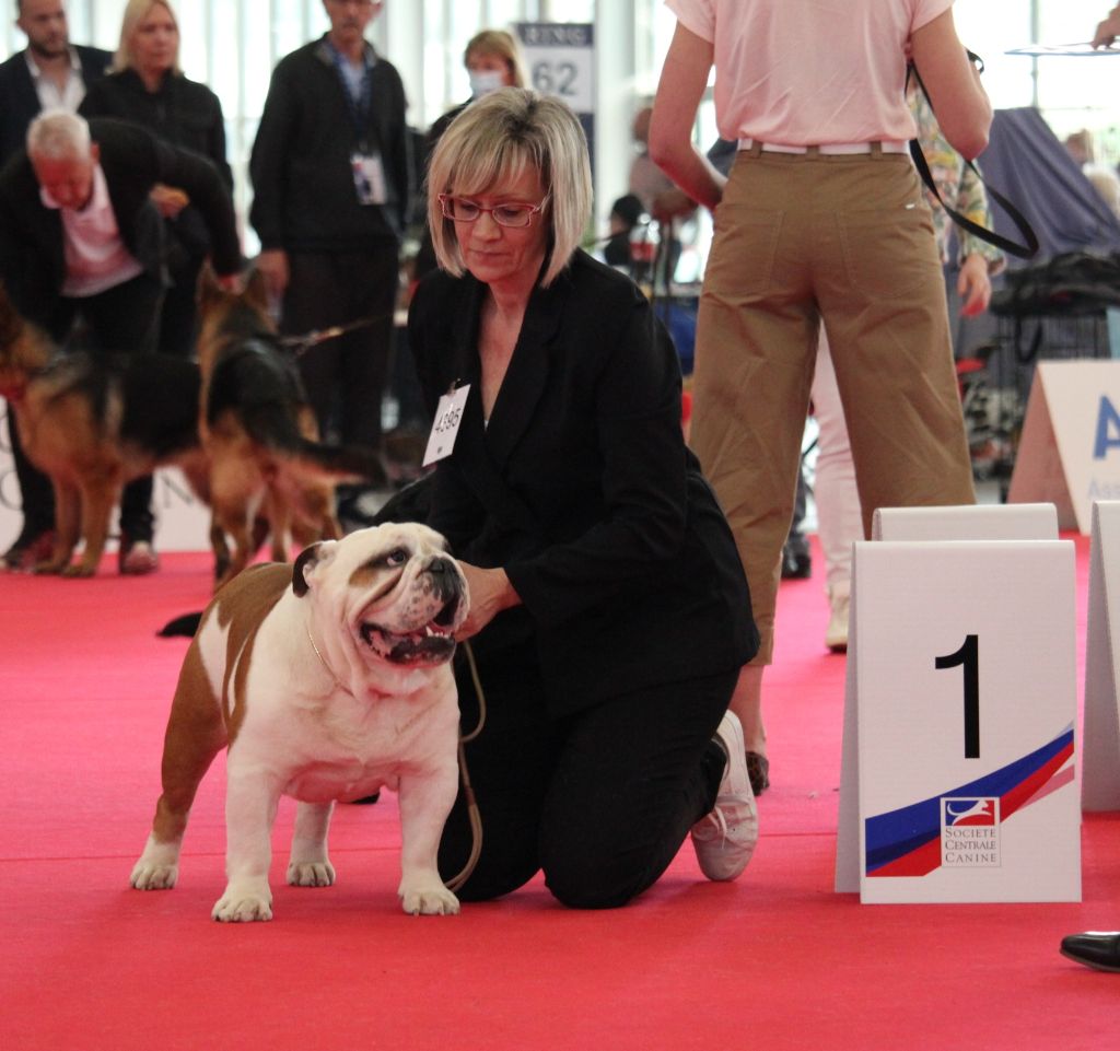 Du Royaume De Layena - CHAMPIONNAT DE FRANCE 2022 PARIS
