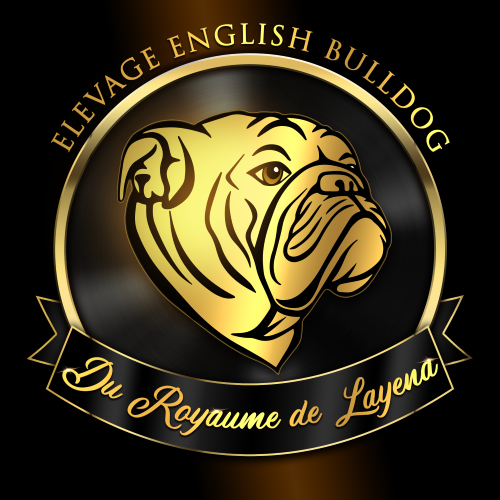 Du Royaume De Layena